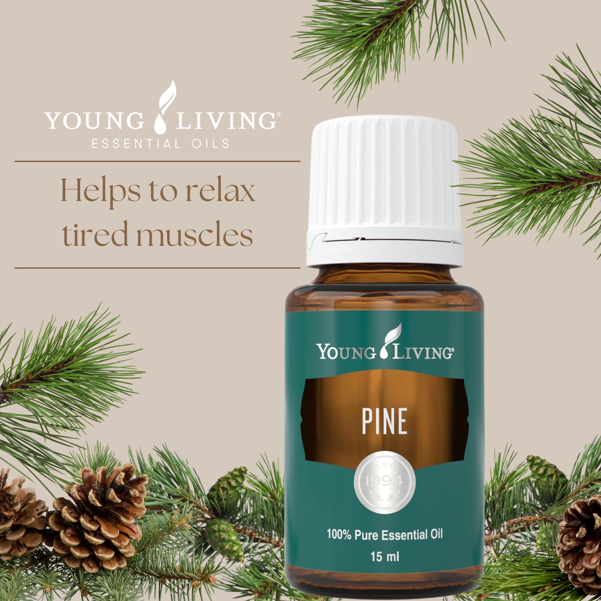 Young Living huile essentielle pin — usage massage avec huile porteuse pour relaxation.