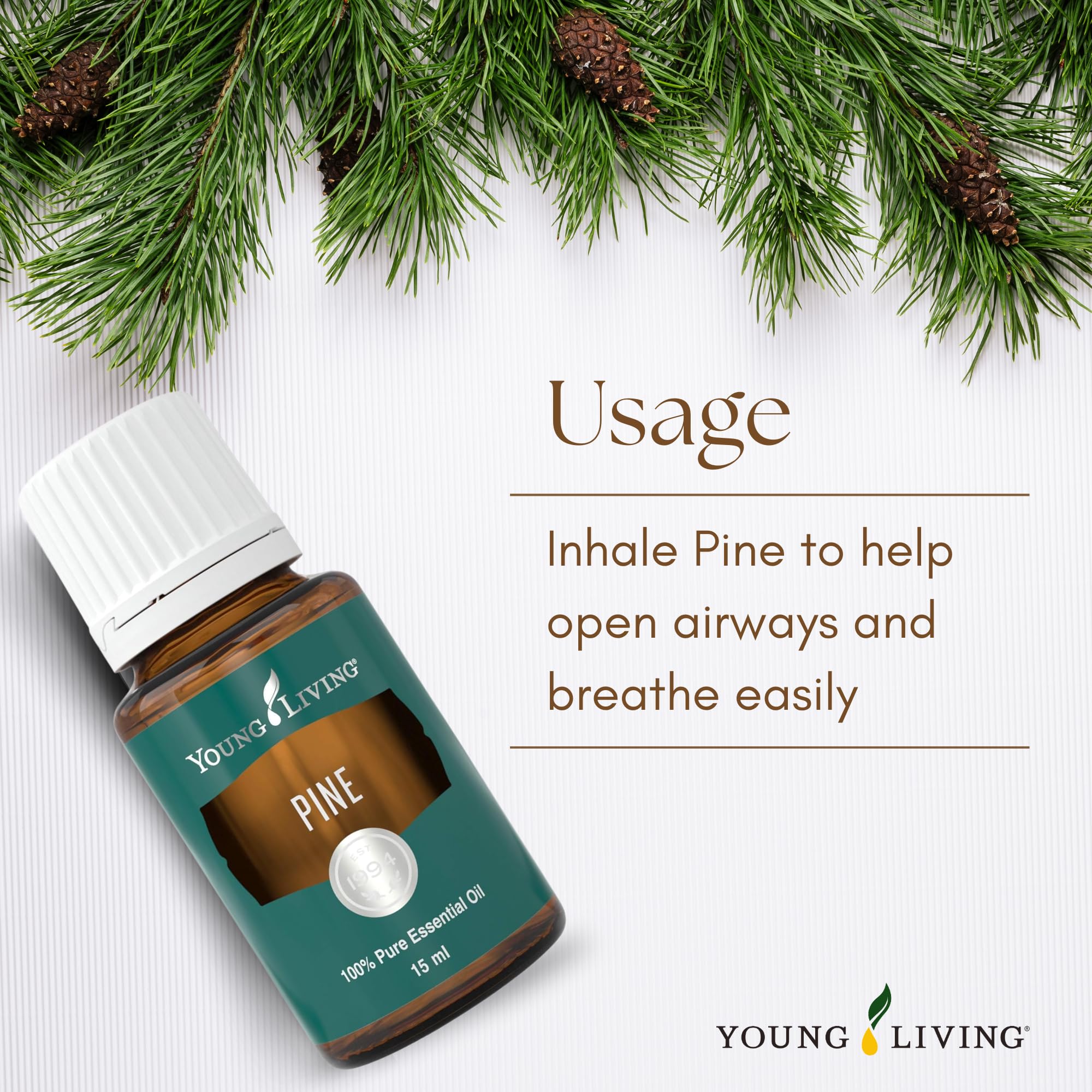 Young Living huile essentielle pin — ajout dans nettoyants faits maison pour parfum naturel.