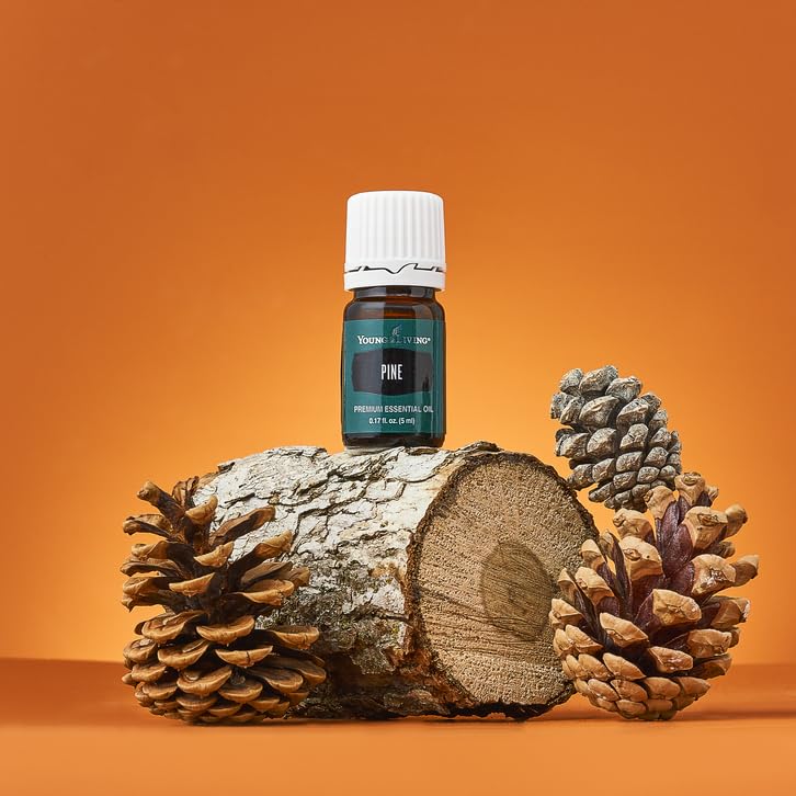 Routine bien-être: huile Pine Young Living pour parfumer votre espace quotidiennement.