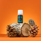 Routine bien-être: huile Pine Young Living pour parfumer votre espace quotidiennement.
