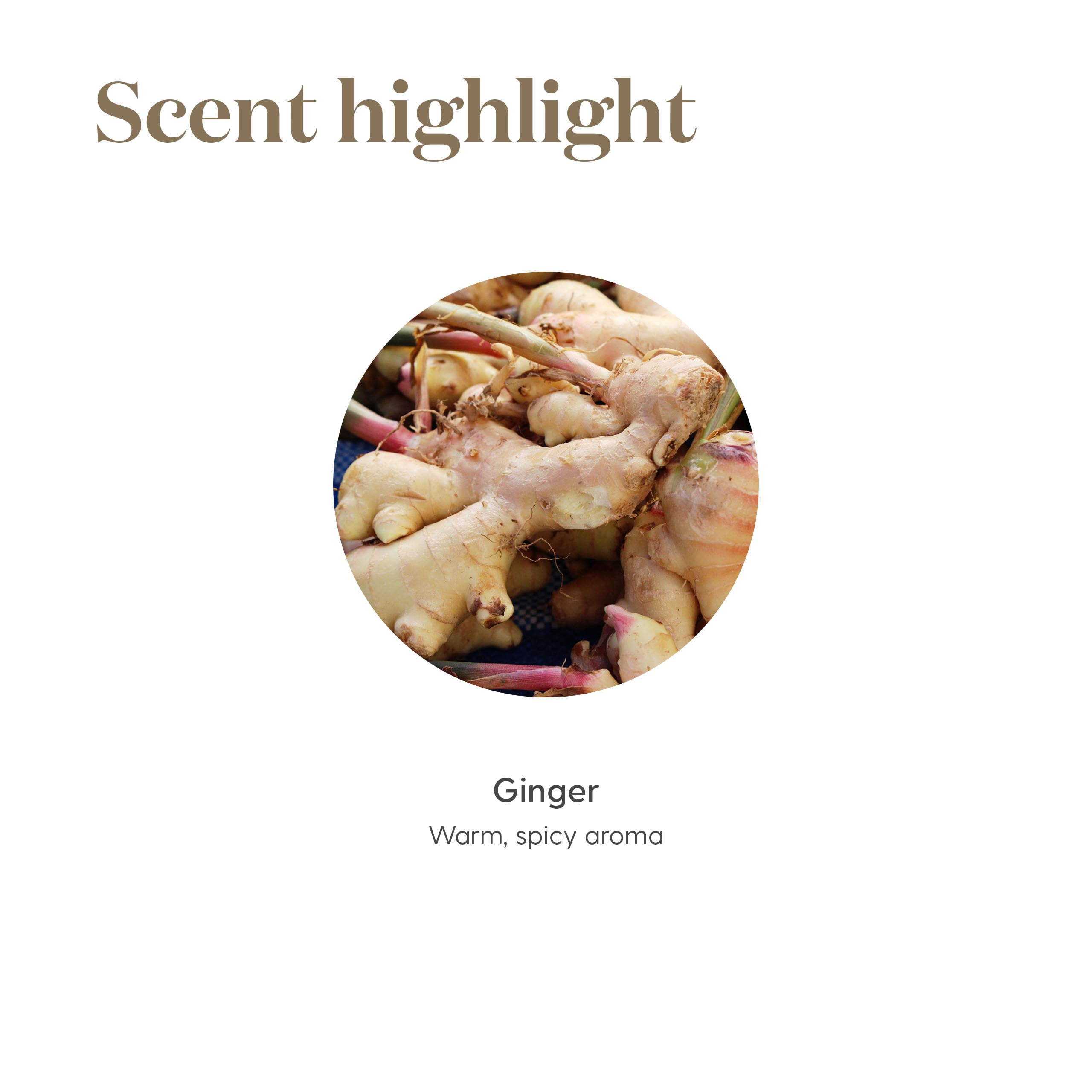Young Living Gingembre huile essentielle 5ml — étiquette kosher et vegan-friendly