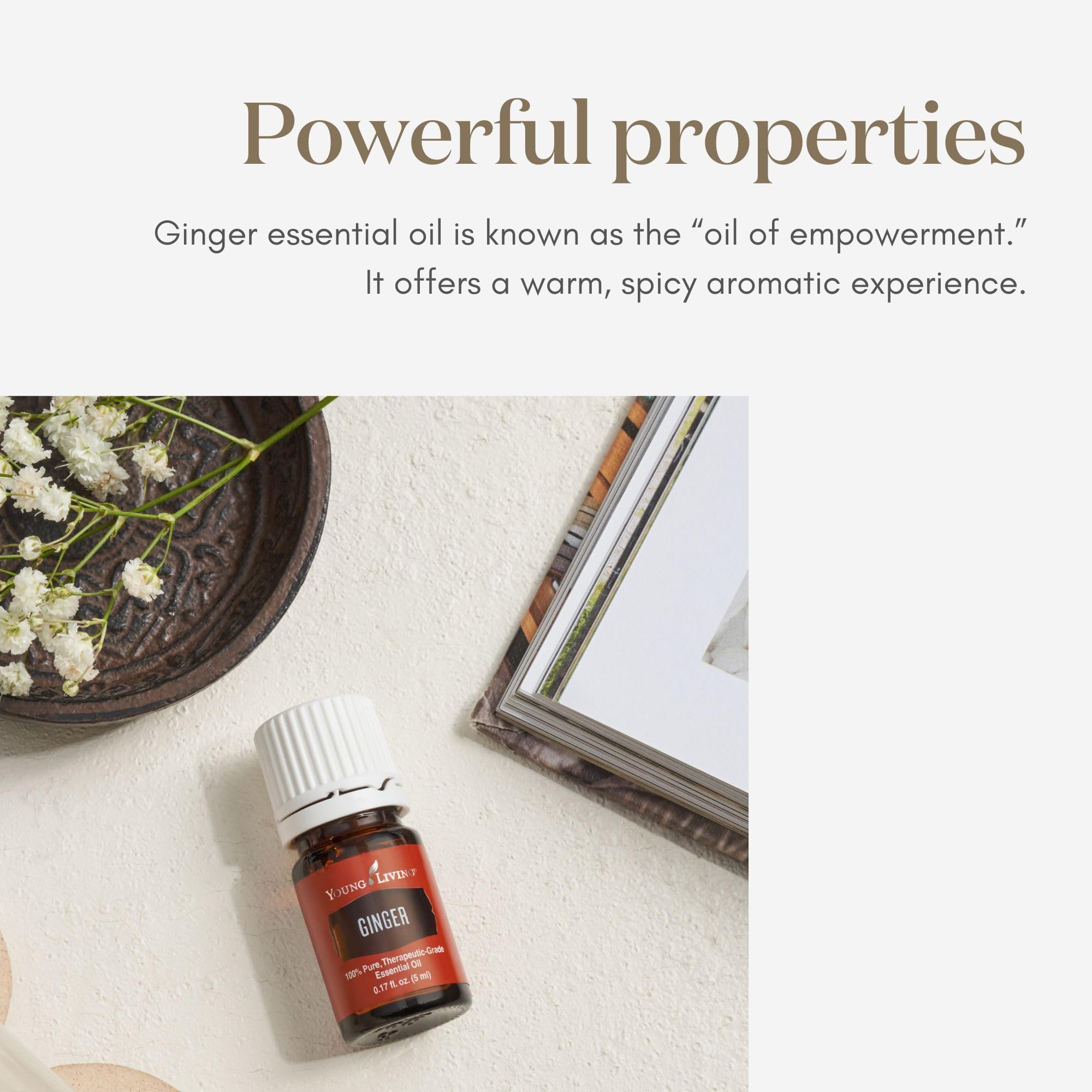 Young Living Gingembre huile essentielle 5ml — massage dilué, utilisation topique