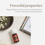Young Living Gingembre huile essentielle 5ml — massage dilué, utilisation topique