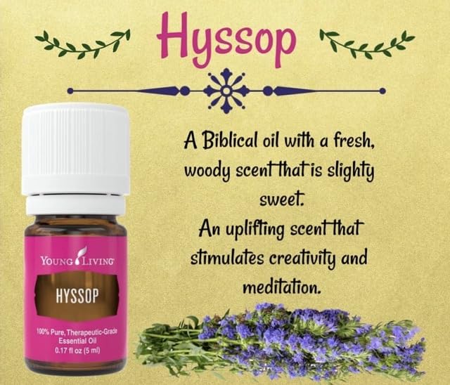 Hysope Young Living, ambiance méditative: inhalation légère pour stimuler la créativité.