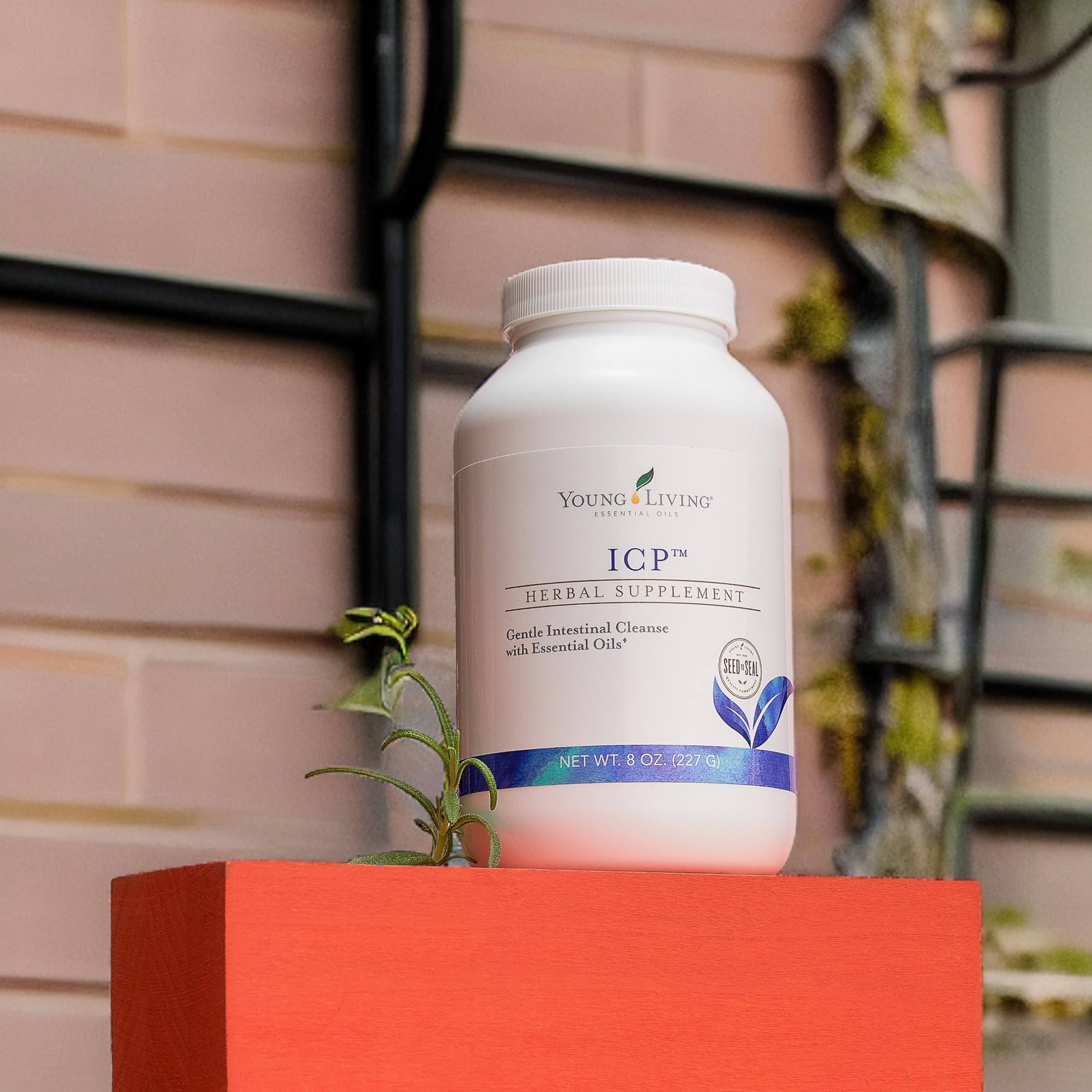 Young Living ICP : fibre psyllium soluble et insoluble pour le soutien digestif.