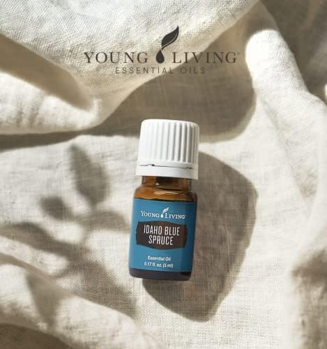 Huile pure Young Living Idaho Blue Spruce prête pour usage quotidien.