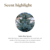 Qualité thérapeutique de l huile Idaho Blue Spruce pour aromathérapie domestique.