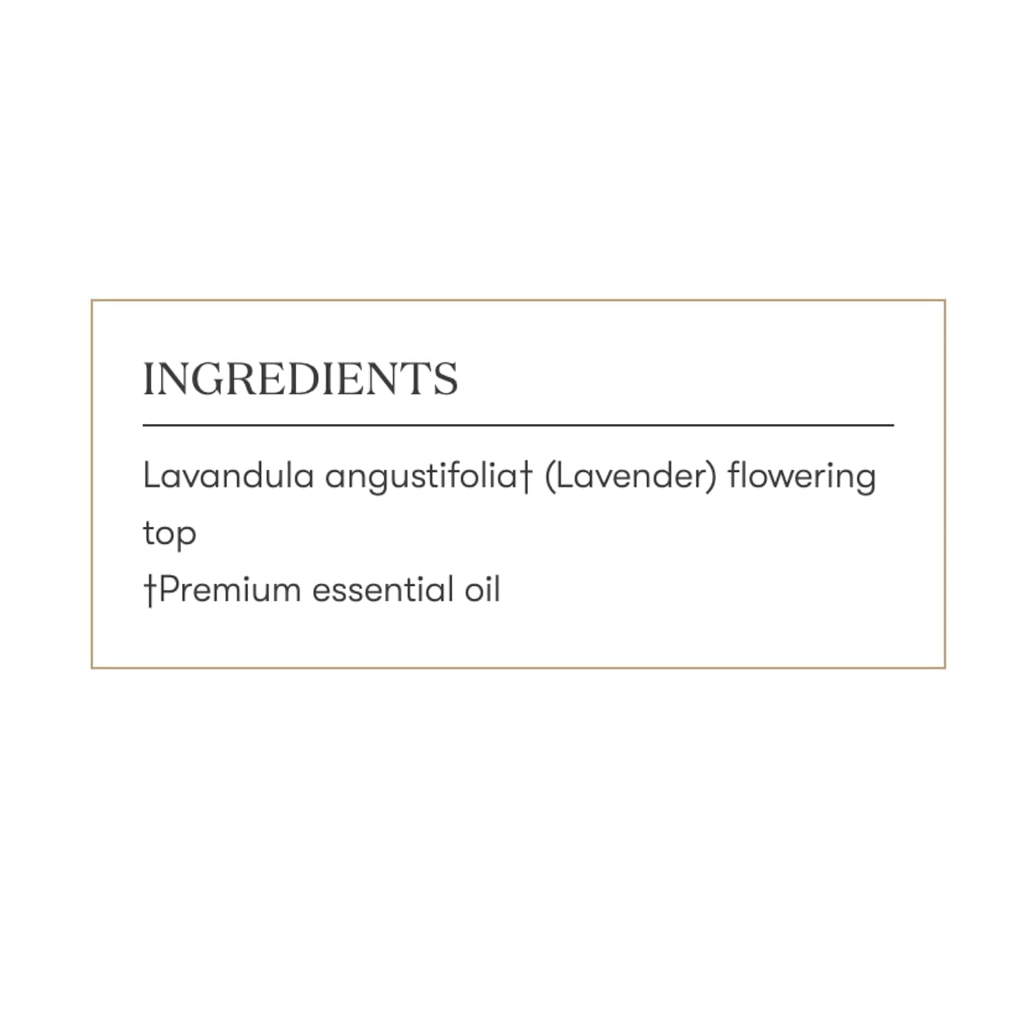 Diffuseur lavande Young Living en ambiance nocturne, détente assurée