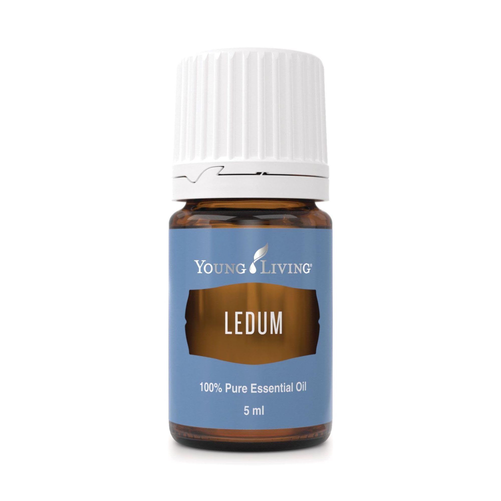 Young Living Ledum Premium dans bouteille, idéal pour diffusion calme.