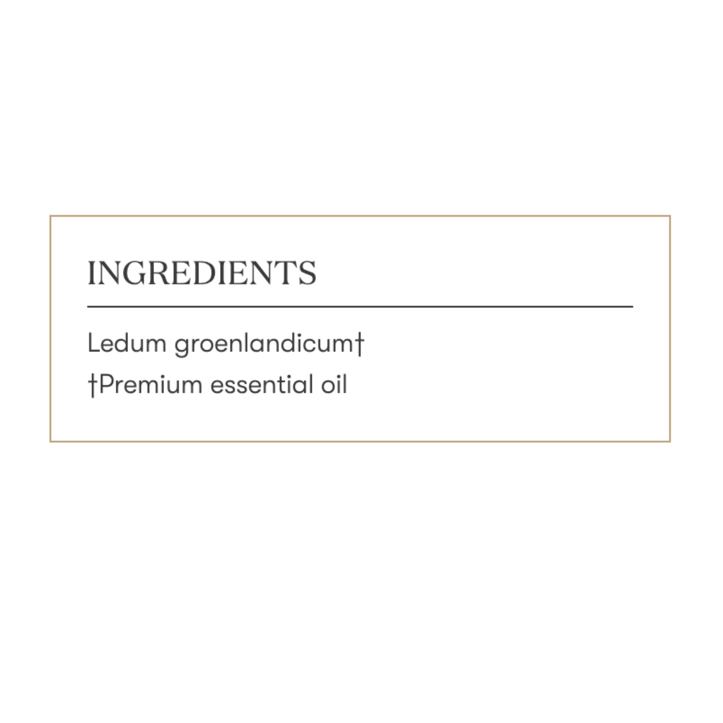 Rituel sacré Ledum Premium Young Living pour détente.