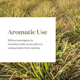 Utilisation maison de Lemongrass Young Living dans une routine bien-être.
