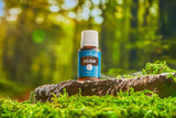 Parfum naturel marjolaine Young Living favorisant une ambiance sereine.