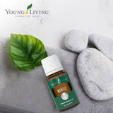 Myrte Young Living masque capillaire pour cheveux revitalisés