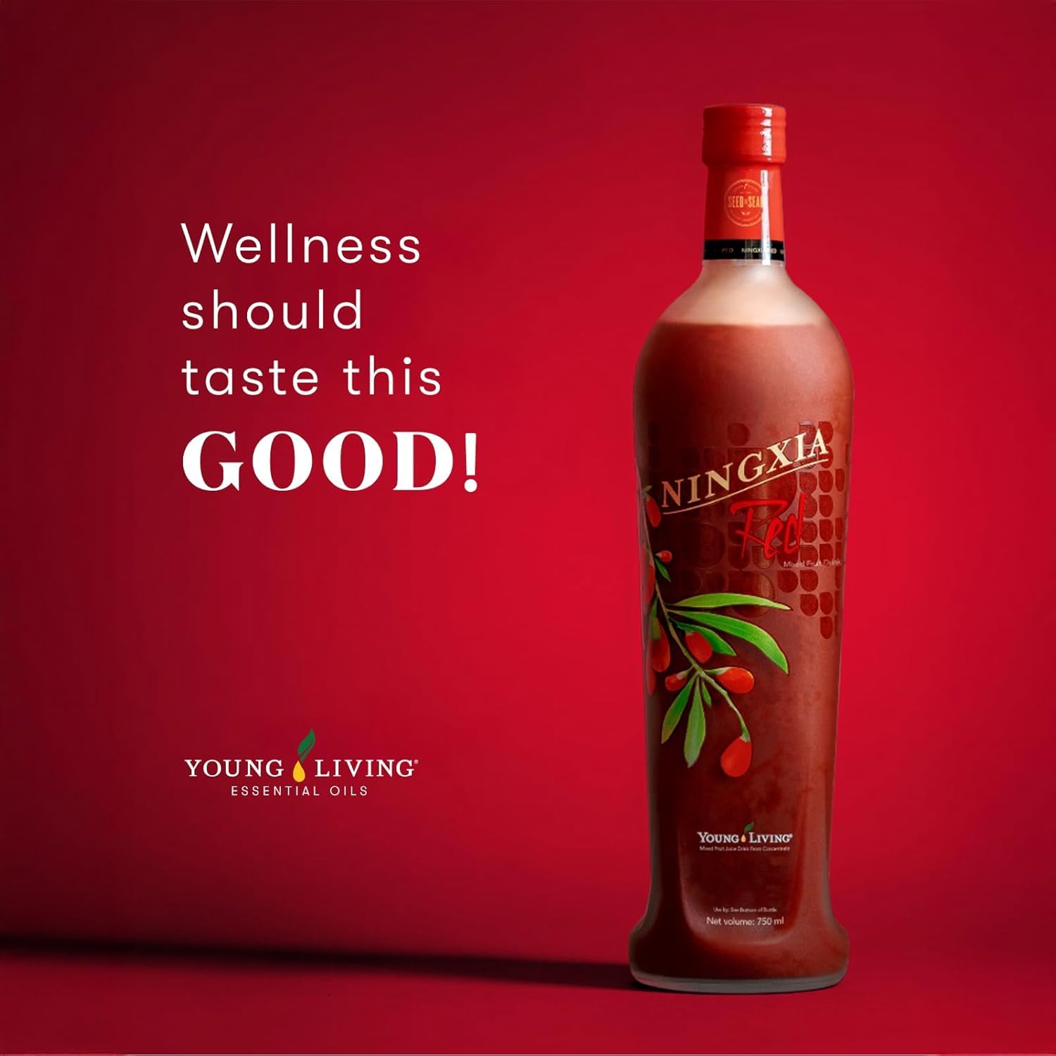 Scène d’utilisation nomade avec NingXia Red, énergie en déplacement.