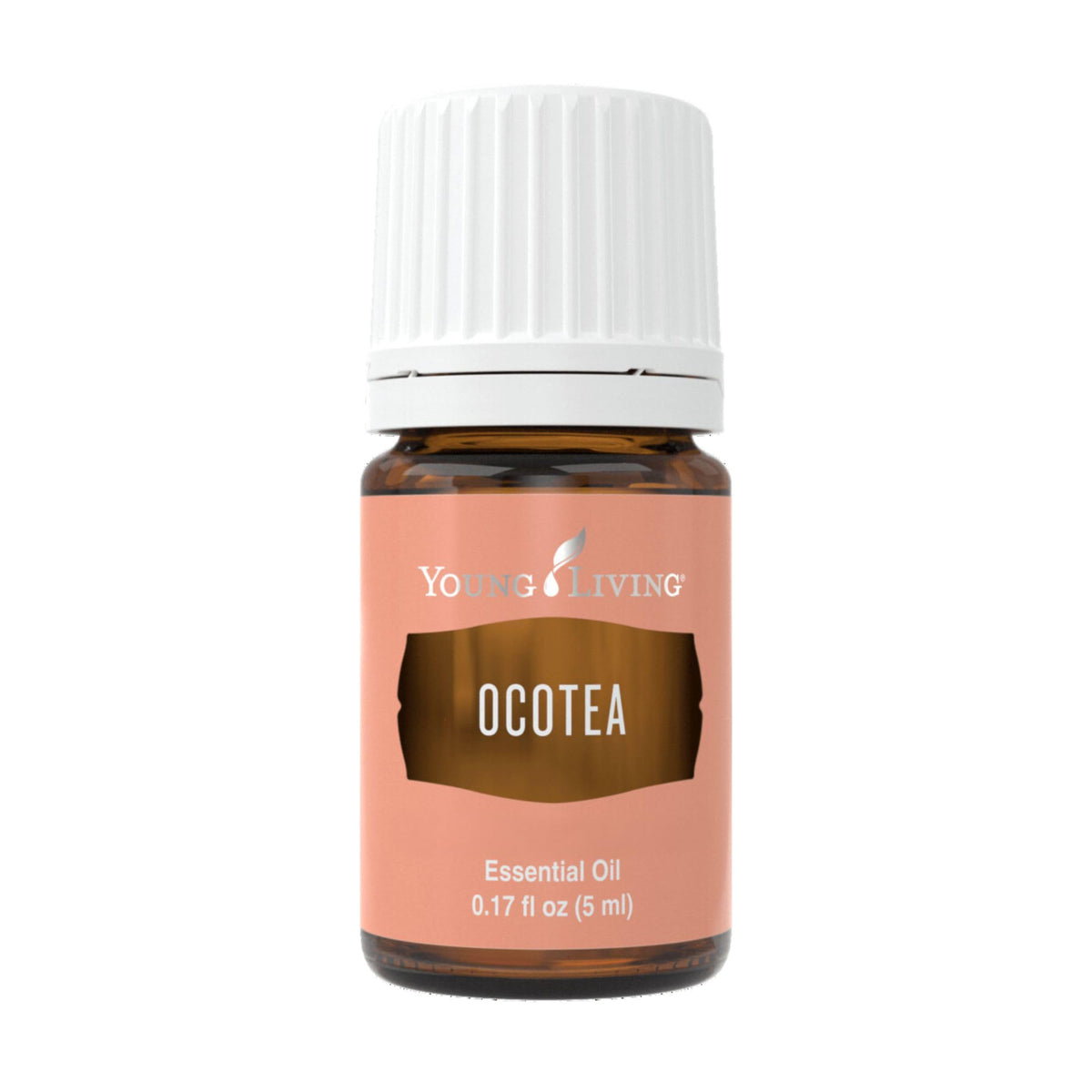 Ocotea Young Living : rituel spirituel et purification du corps