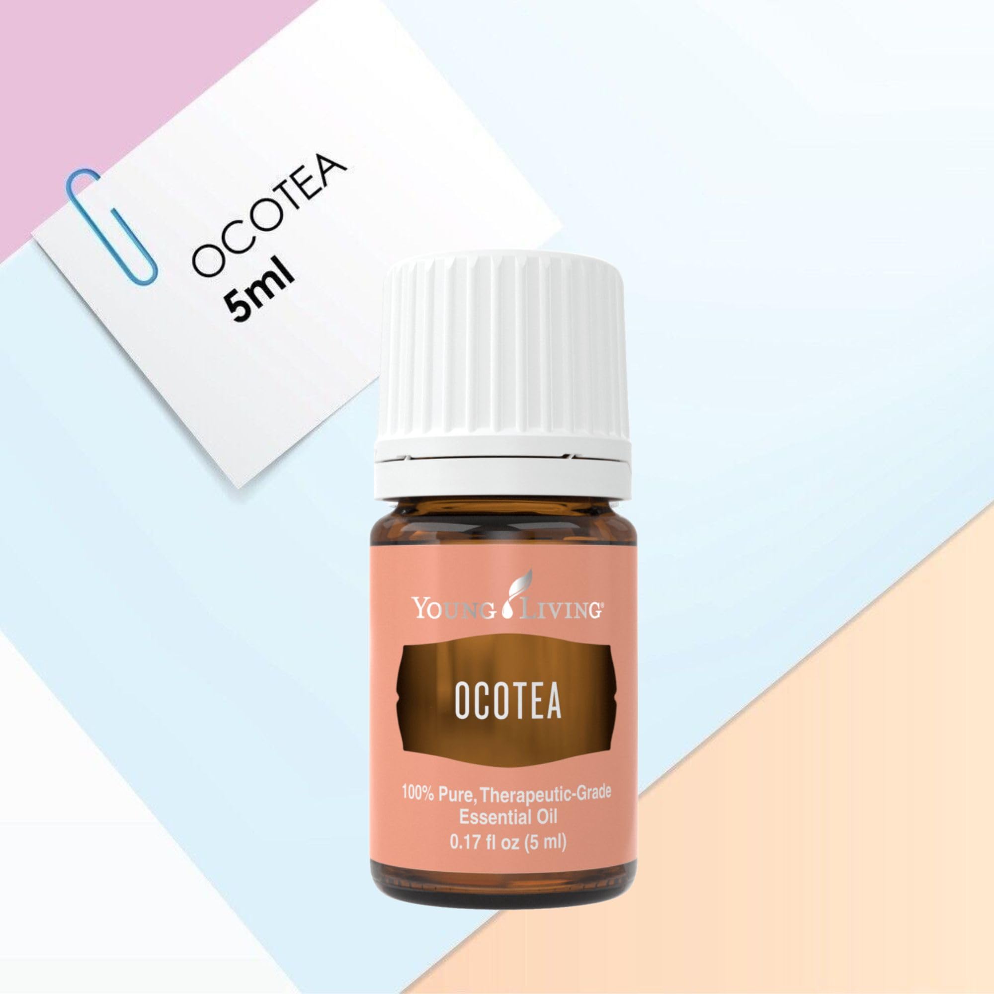 Ocotea Young Living : alternative délicate à la cannelle