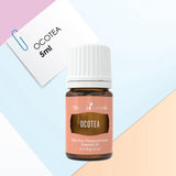 Ocotea Young Living : alternative délicate à la cannelle
