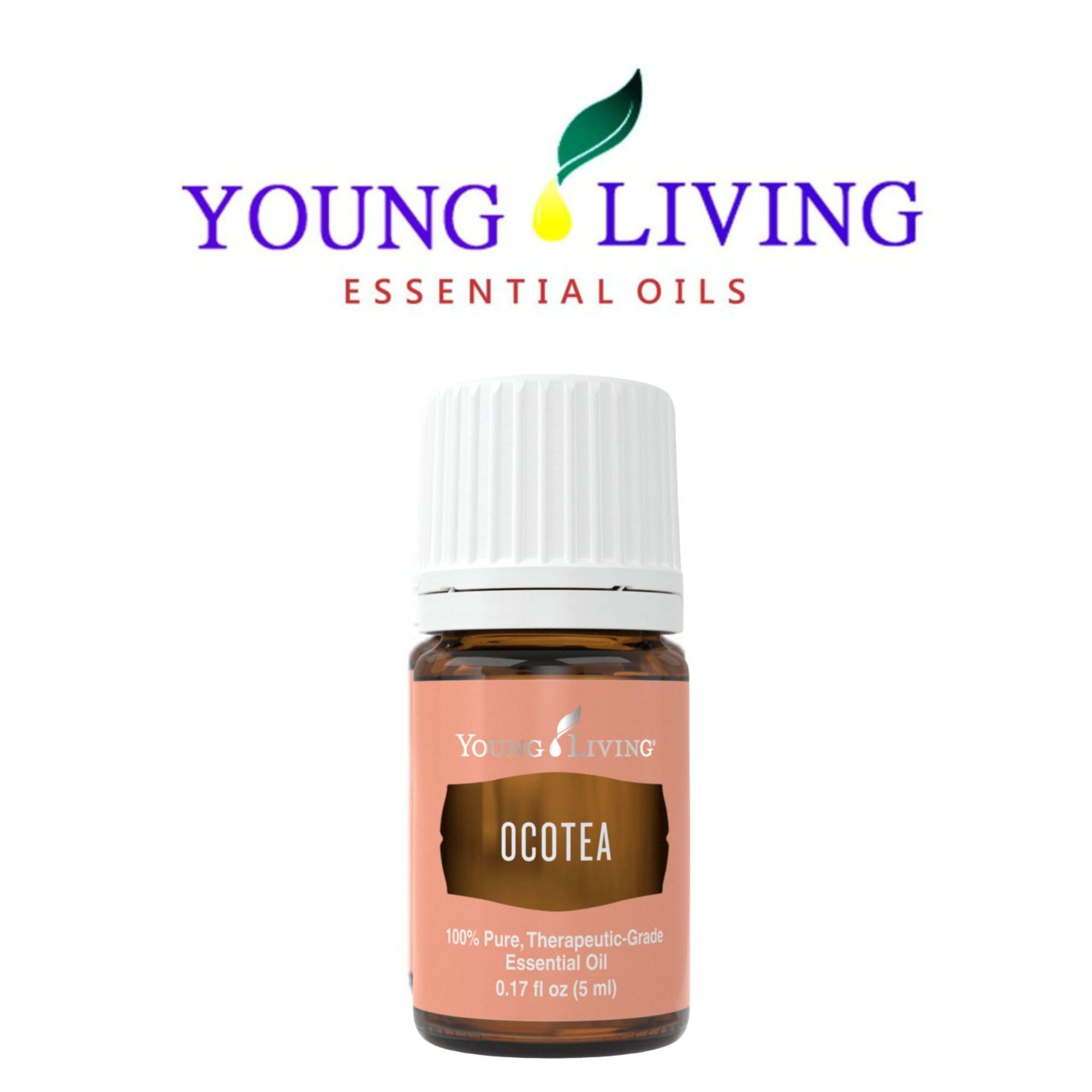 Ocotea Young Living : aromathérapie et bien-être quotidien