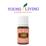 Ocotea Young Living : aromathérapie et bien-être quotidien