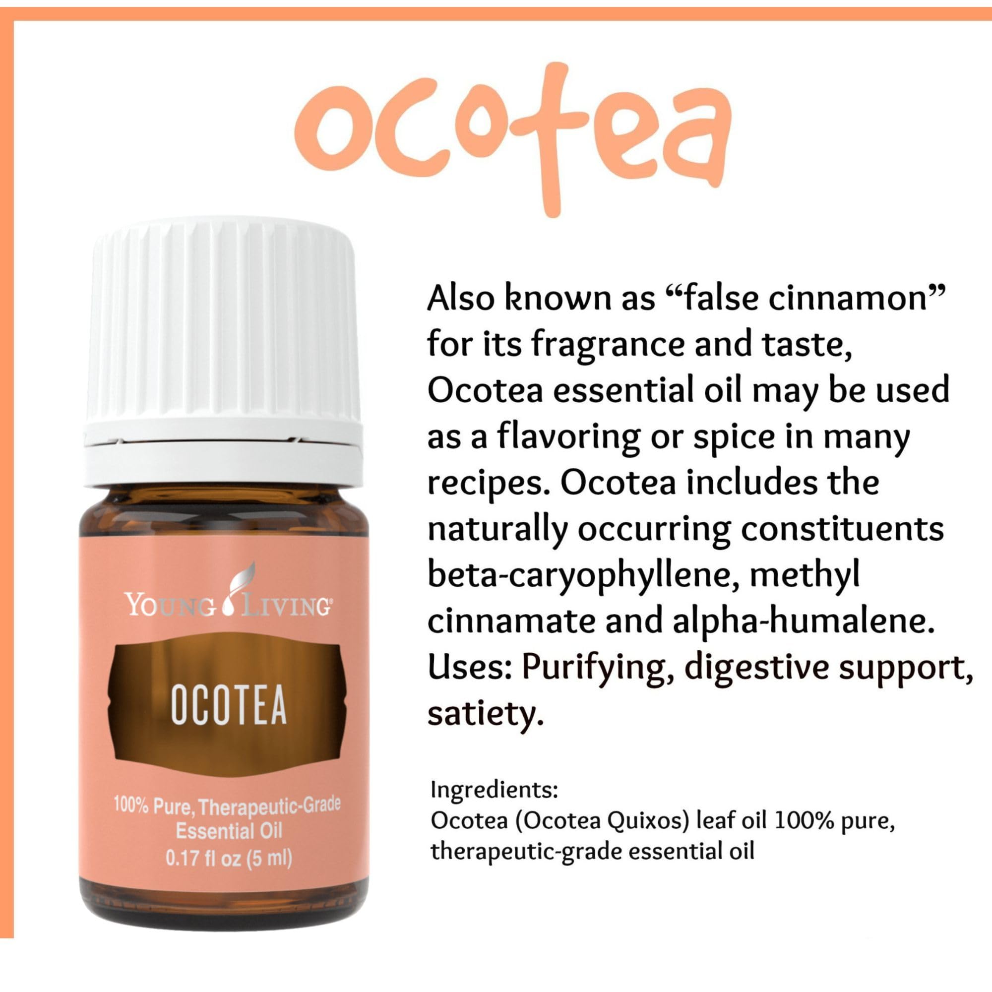 Ocotea Young Living : signification historique et usages culturels