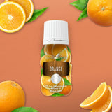 Young Living Orange huile essentielle 15 ml — ambiance maison rafraîchissante et positive.