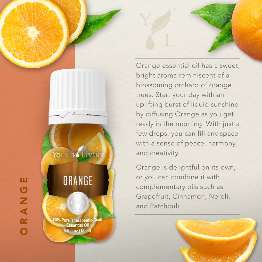 Young Living Orange huile essentielle 15 ml — diffuseur pour une ambiance citronnée et revitalisante.