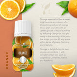 Young Living Orange huile essentielle 15 ml — diffuseur pour une ambiance citronnée et revitalisante.