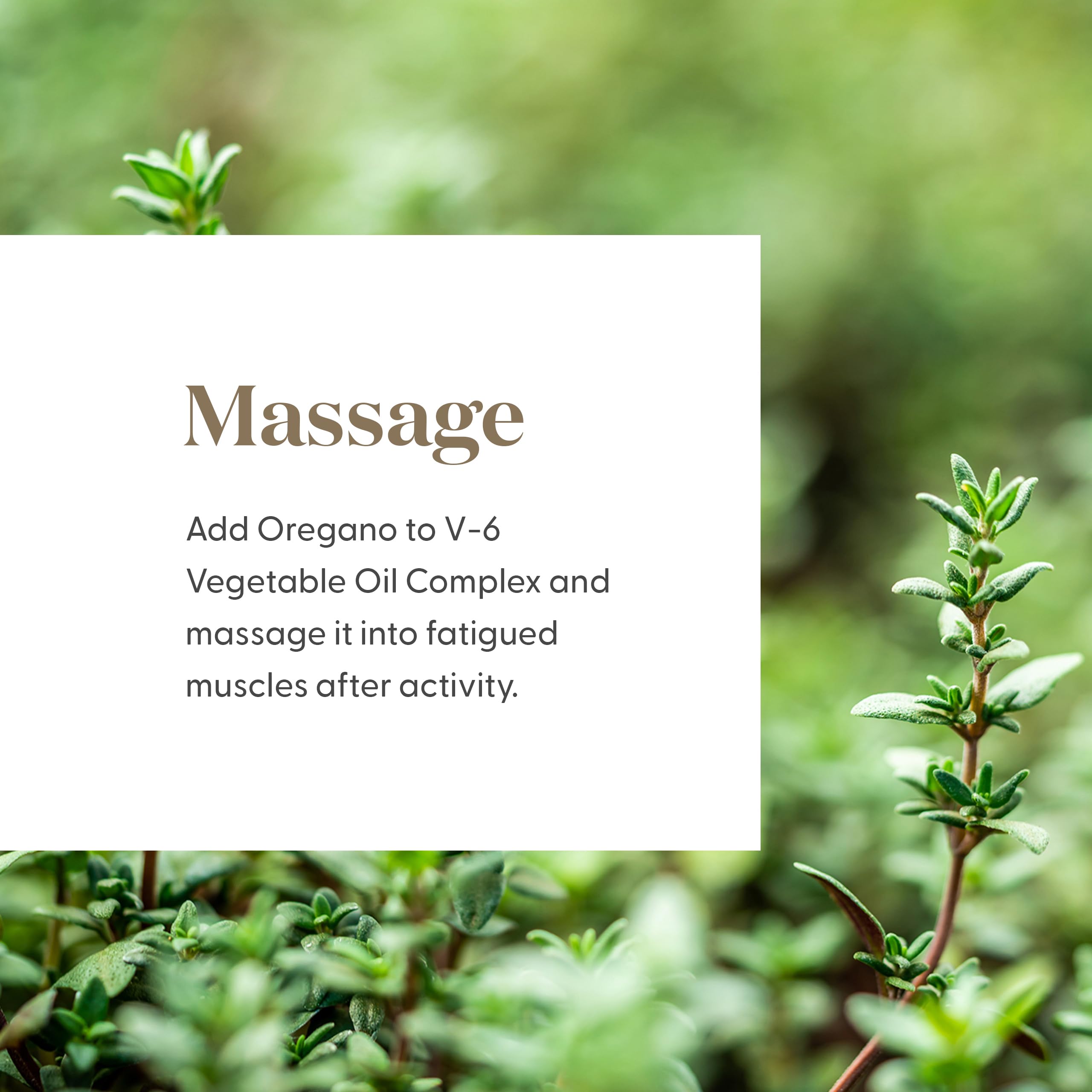 Application topique diluée avec Young Living Origan pour routine soin.