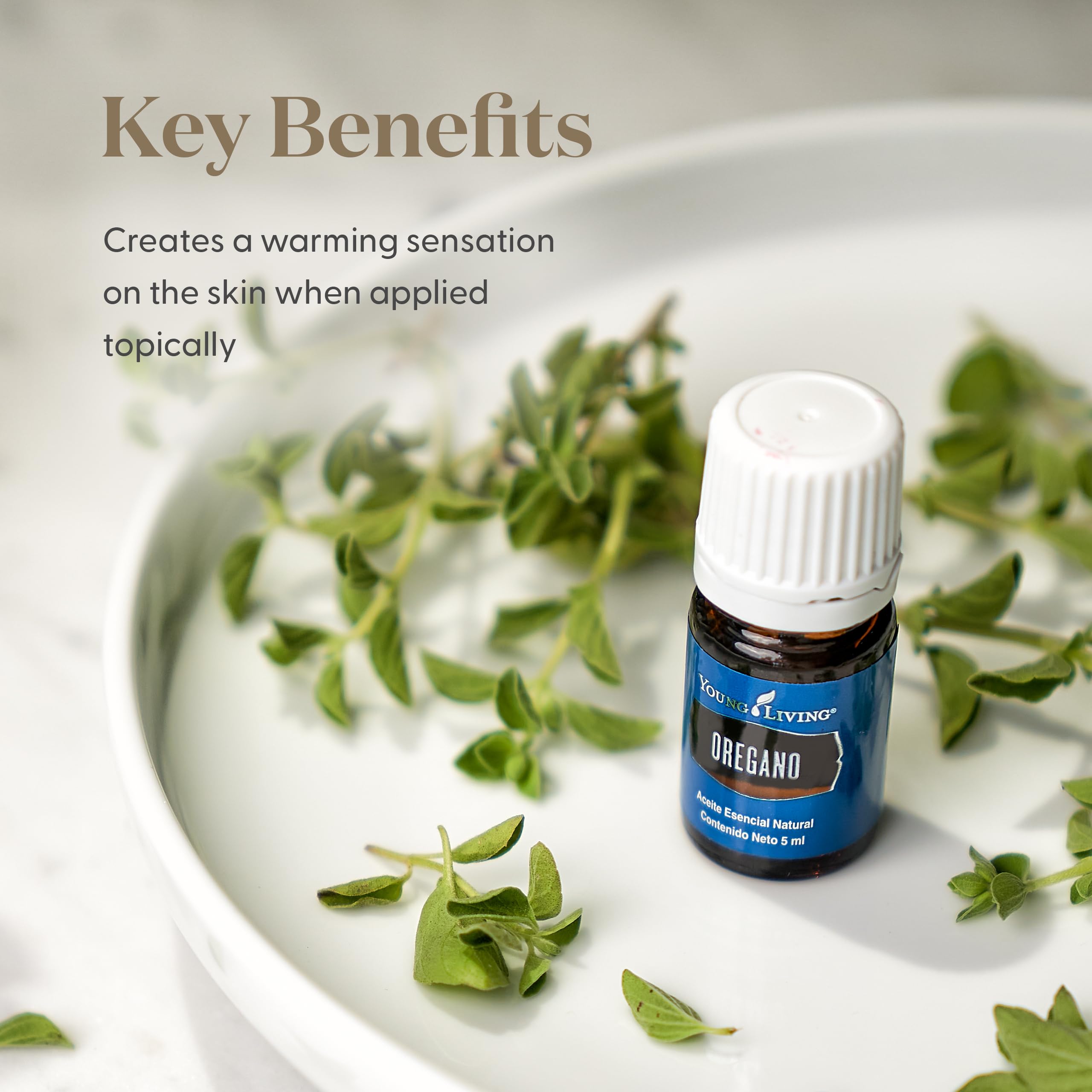 Diffuseur avec Origan Young Living crée une ambiance aromatique naturelle.