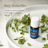 Diffuseur avec Origan Young Living crée une ambiance aromatique naturelle.