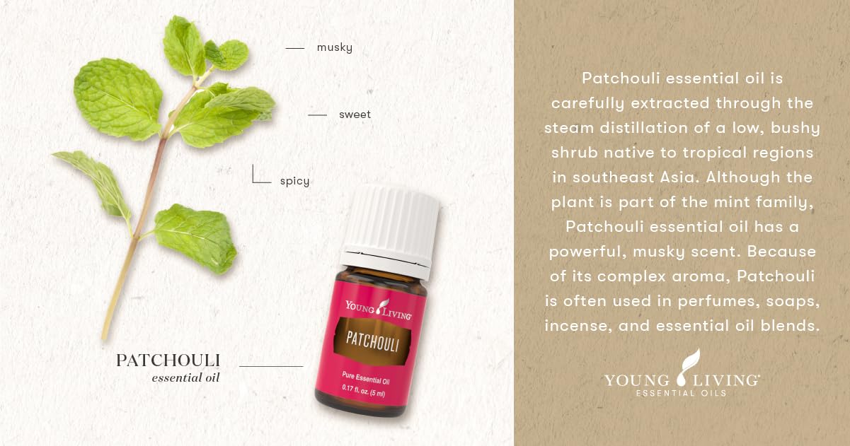 Ambiance tranquille avec Patchouli Young Living, parfum naturel à la maison.
