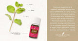 Ambiance tranquille avec Patchouli Young Living, parfum naturel à la maison.