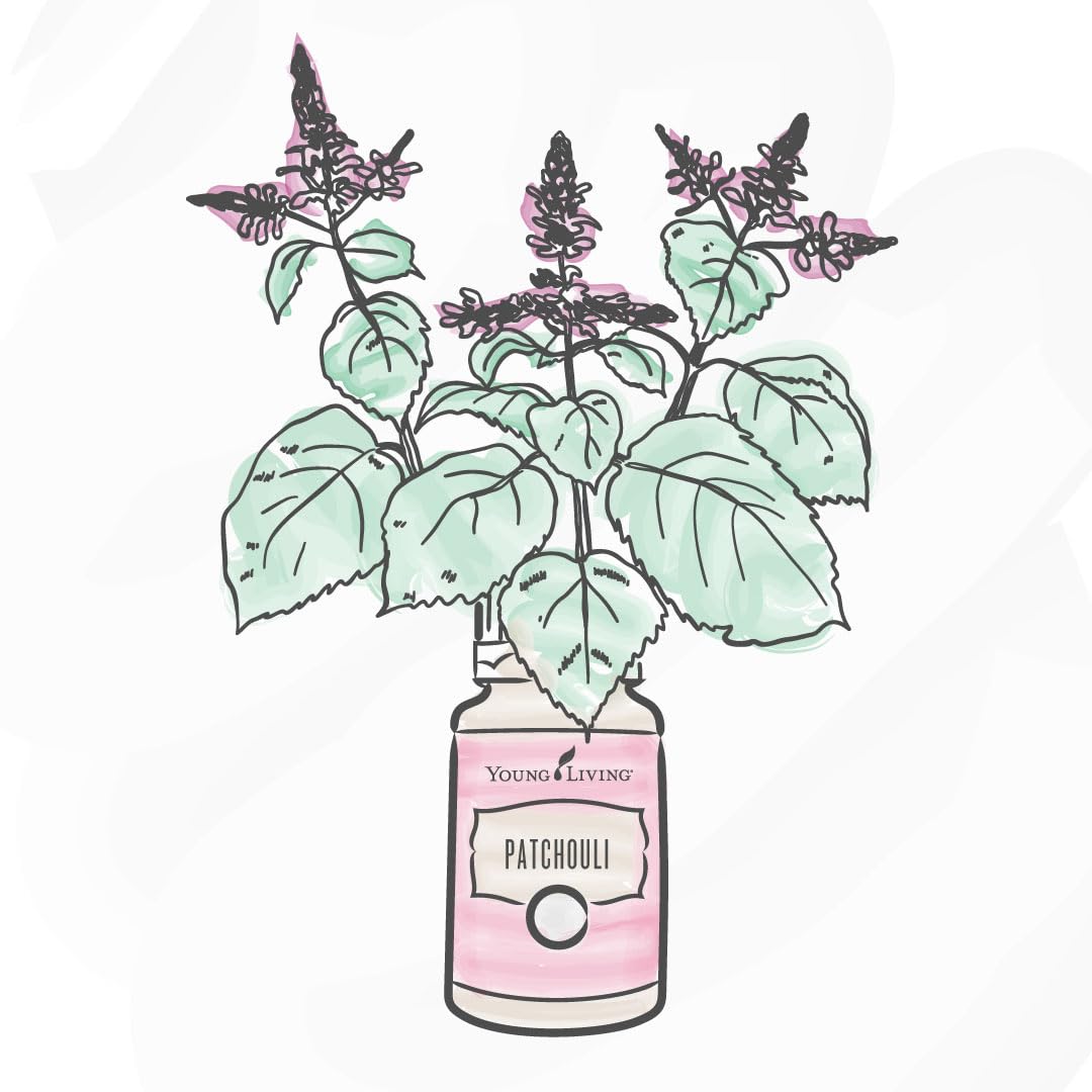 Note terreuse Patchouli Young Living, expérience sensorielle apaisante.