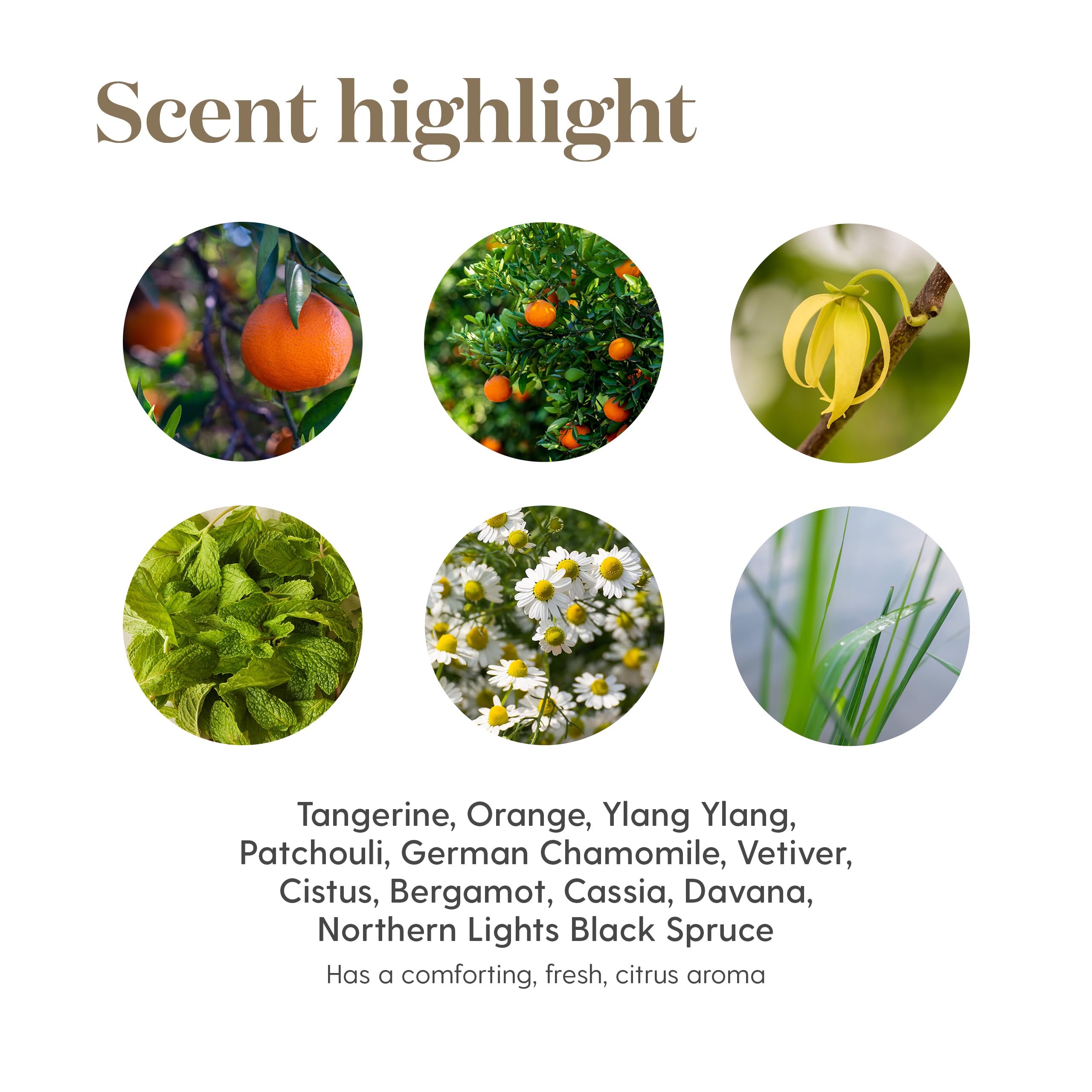 Young Living Peace & Calming II, huile pour relaxation sensorielle après le travail.