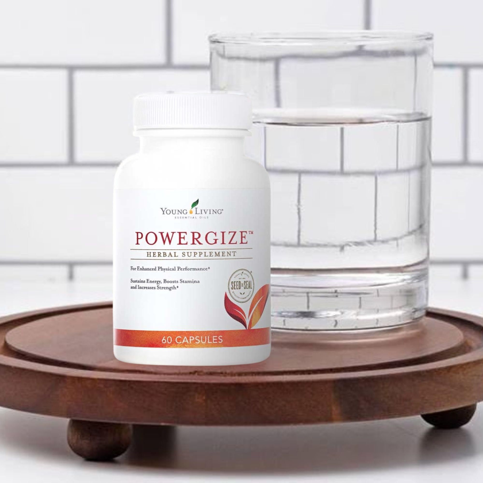 Ambiance salle de sport avec PowerGize prête à être utilisée lors d une séance.