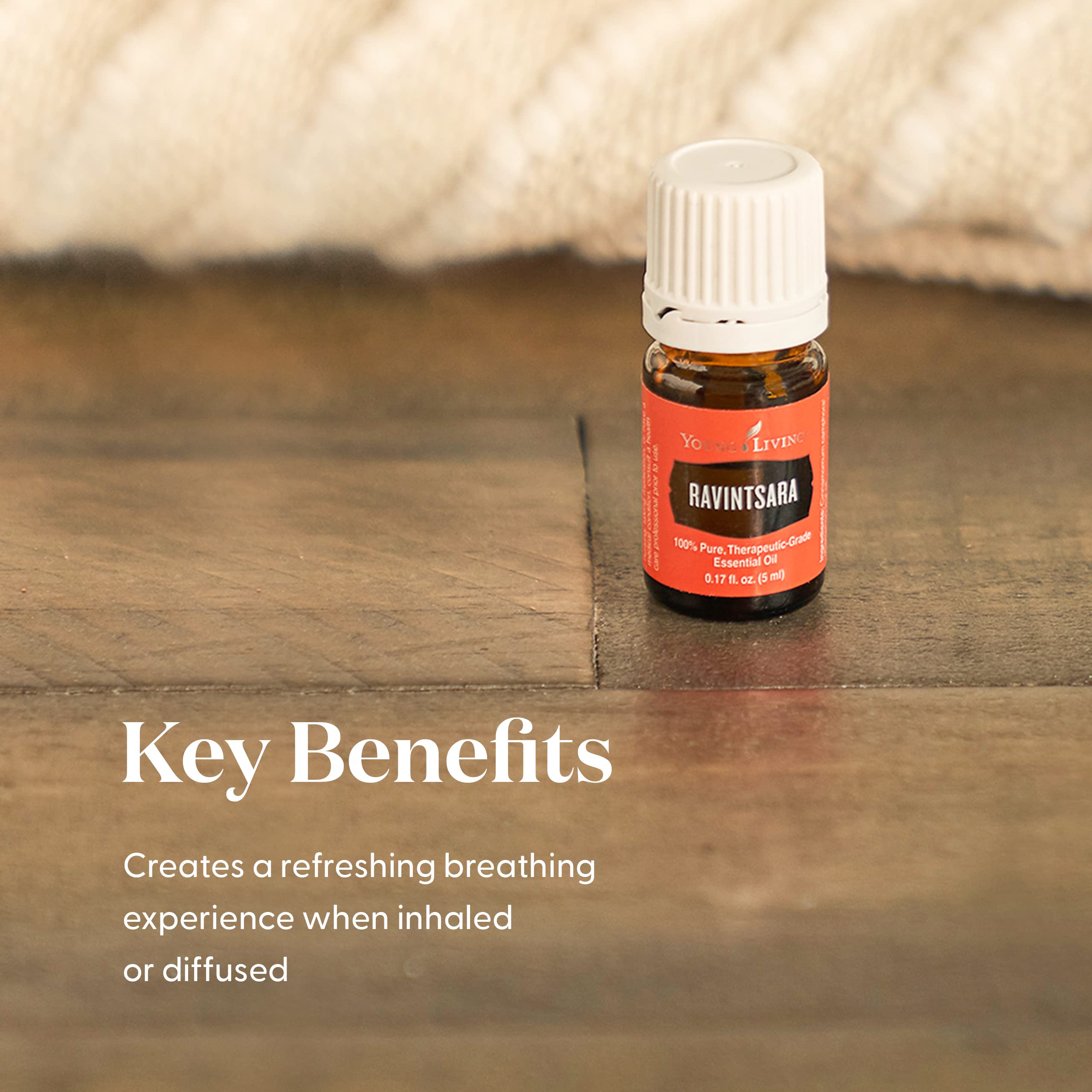 Young Living Ravintsara feuilles : extrait naturel des feuilles pour routine quotidienne.