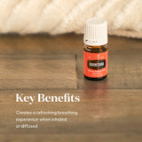 Young Living Ravintsara feuilles : extrait naturel des feuilles pour routine quotidienne.