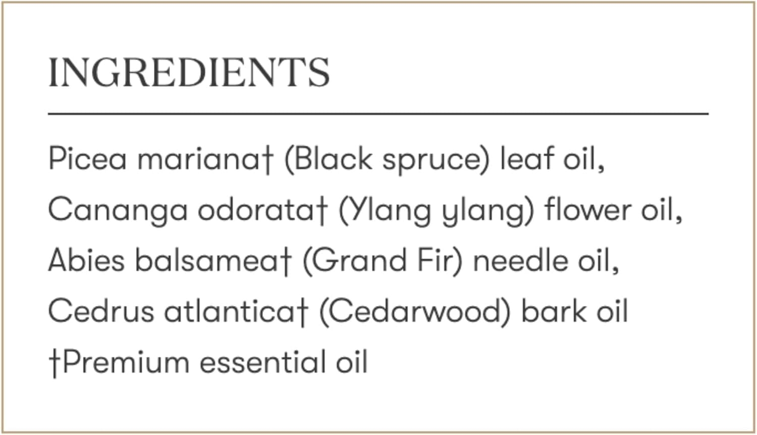 Inspiration naturelle Young Living Sacred Mountain pour équilibrer l’atmosphère.