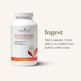 Ingrédients clés du Sulfurzyme : MSM et goji pour soutenir beauté et confort quotidien