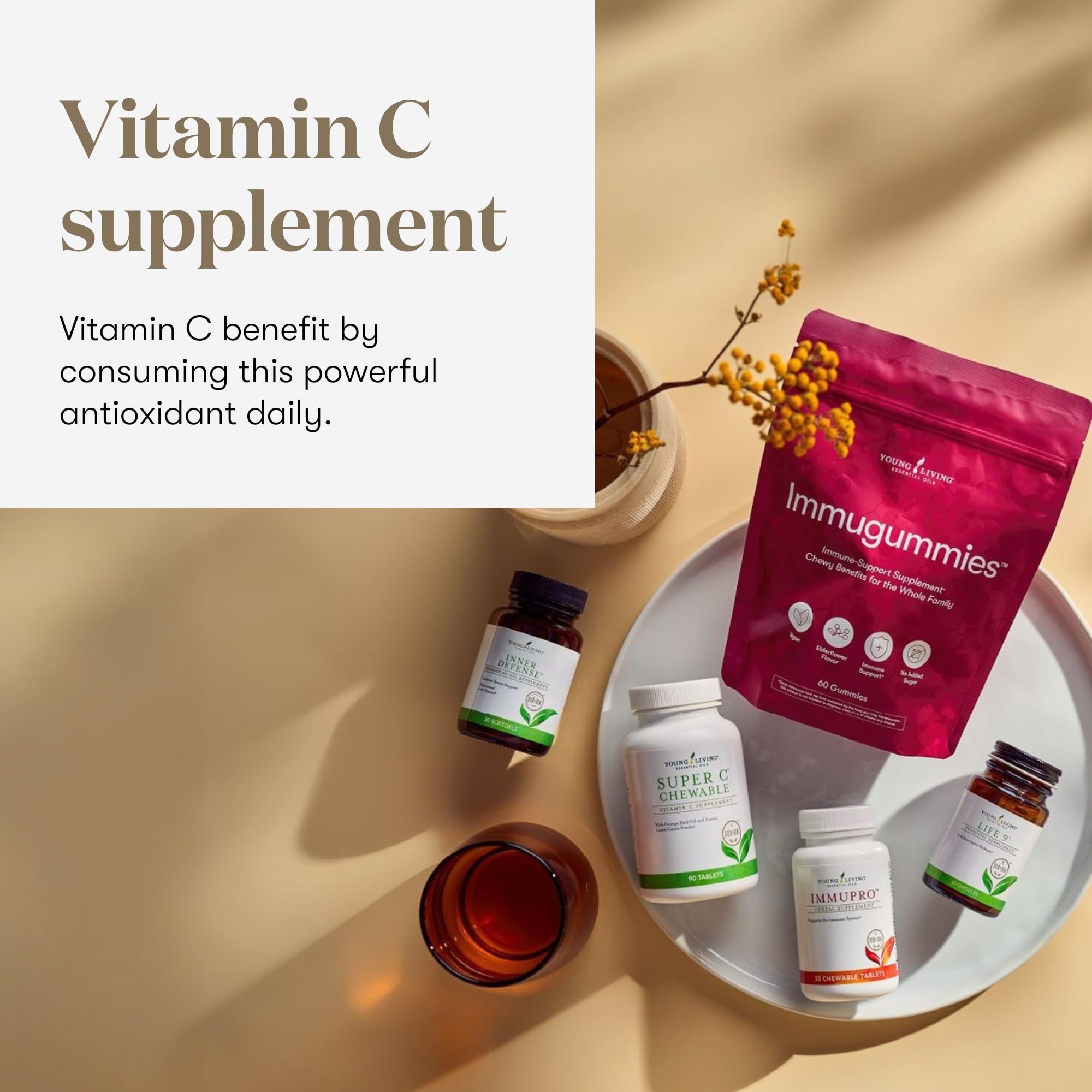 Ingrédients clés : camu-camu, acerola, cerise et cynorhodon pour l'apport vitaminé.