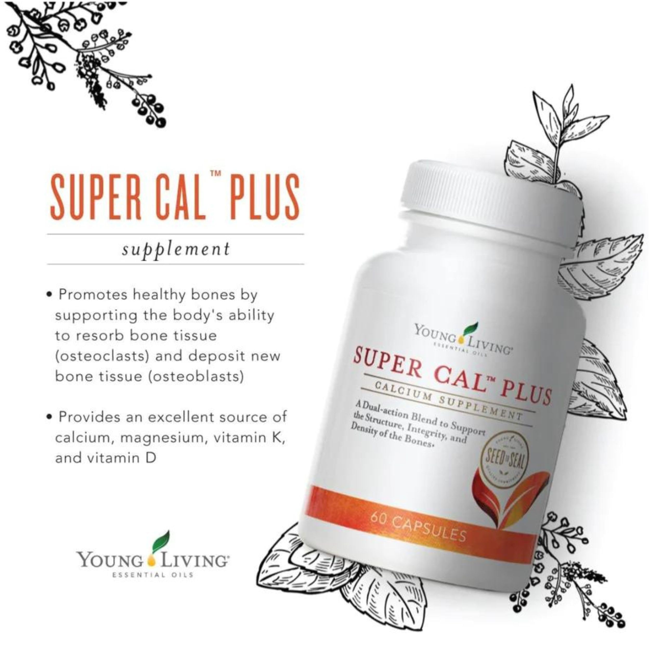 Capsule en premier-plan avec Young Living Super Cal Plus, dosage simple et pratique.