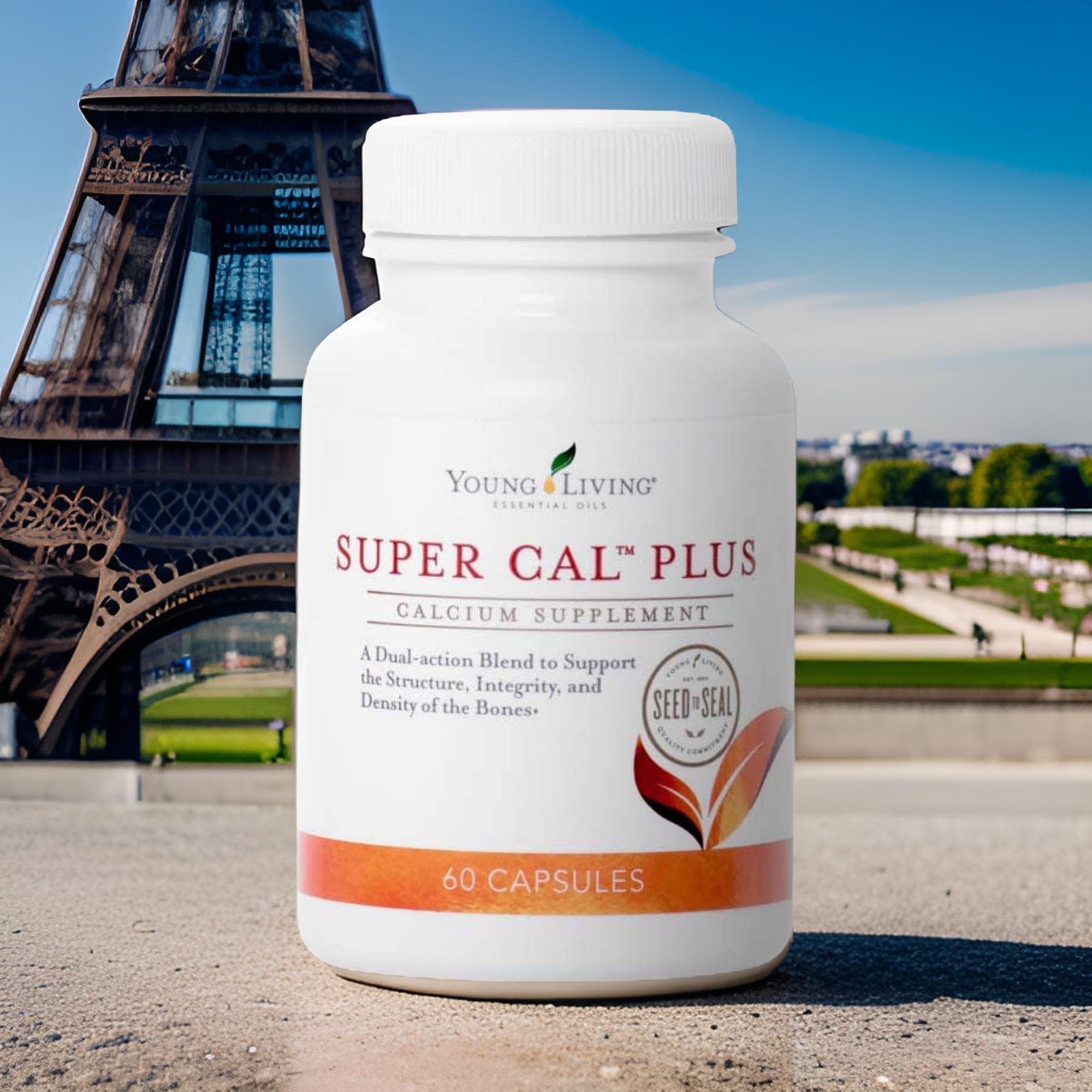 Ingrédients clés Young Living Super Cal Plus issus d'algues rouges pour une origine naturelle.