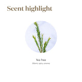 Young Living Tea Tree, massage dilué pour relaxation et bien-être.