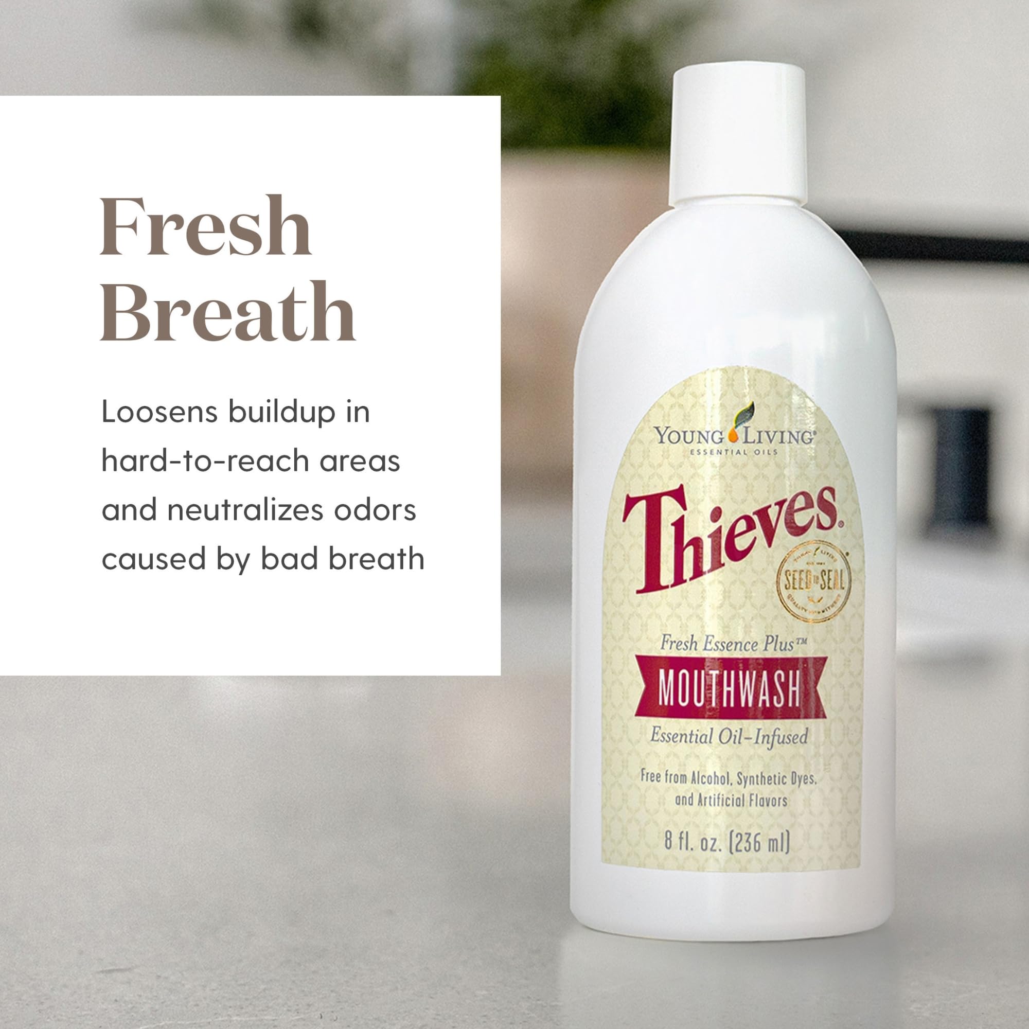Étiquette du Thieves Fresh Essence rinçage buccal, design clair.