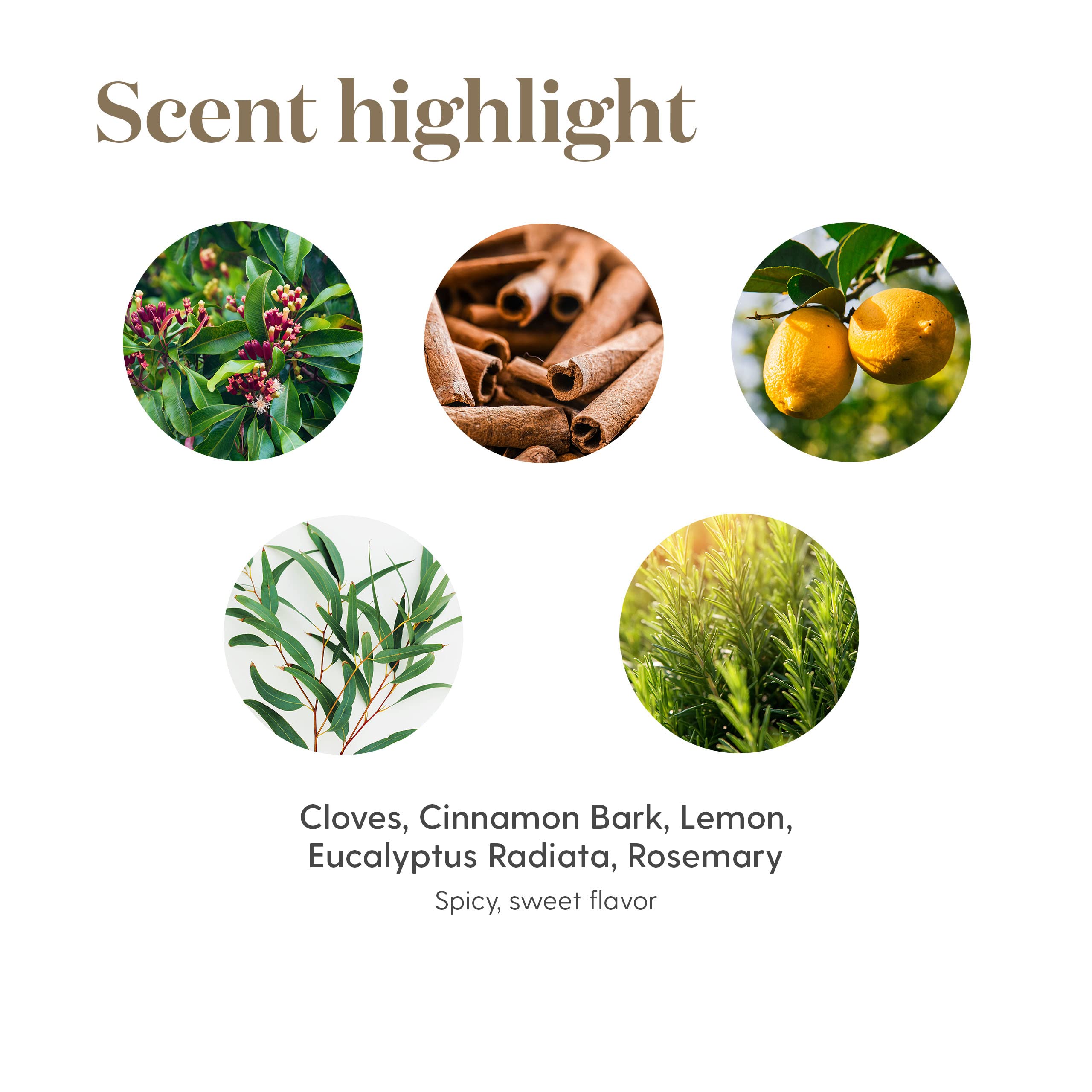 Young Living Thieves Vitality, emballage recyclable, option écoresponsable pour votre rituel.