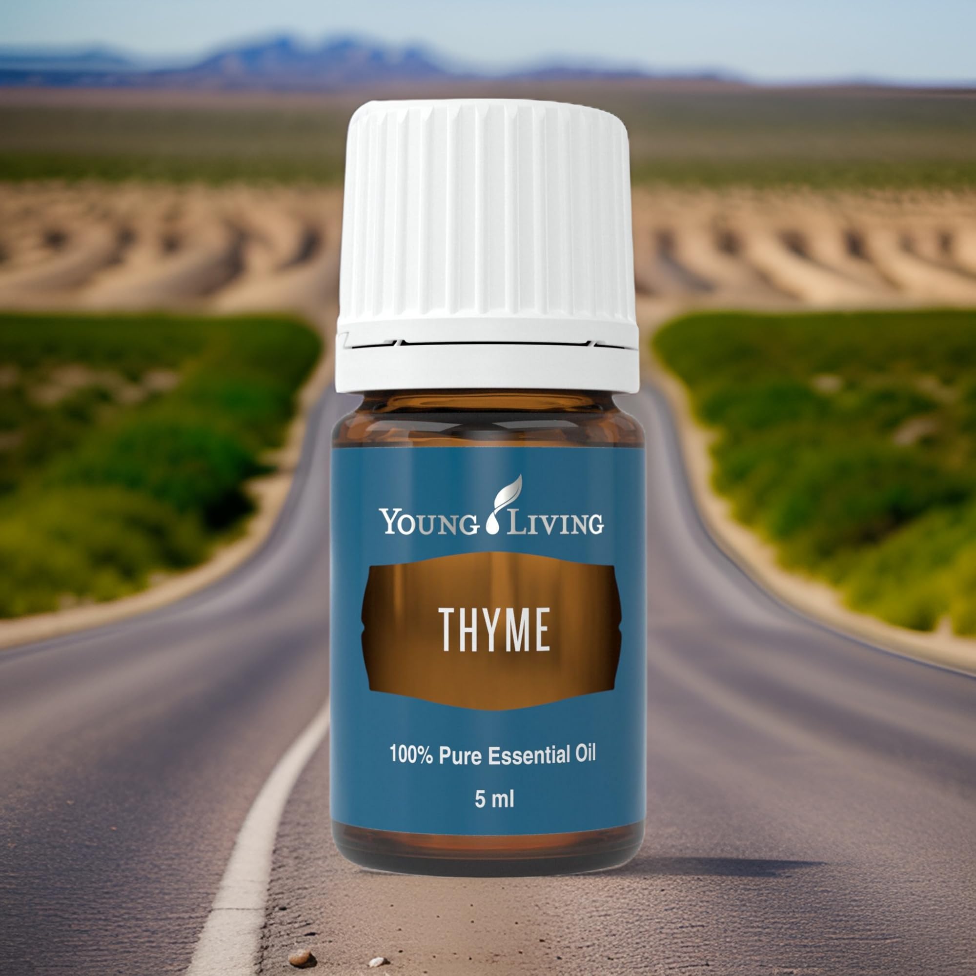 Young Living Thym huile essentielle, aromathérapie, parfum herbacé pour votre espace.