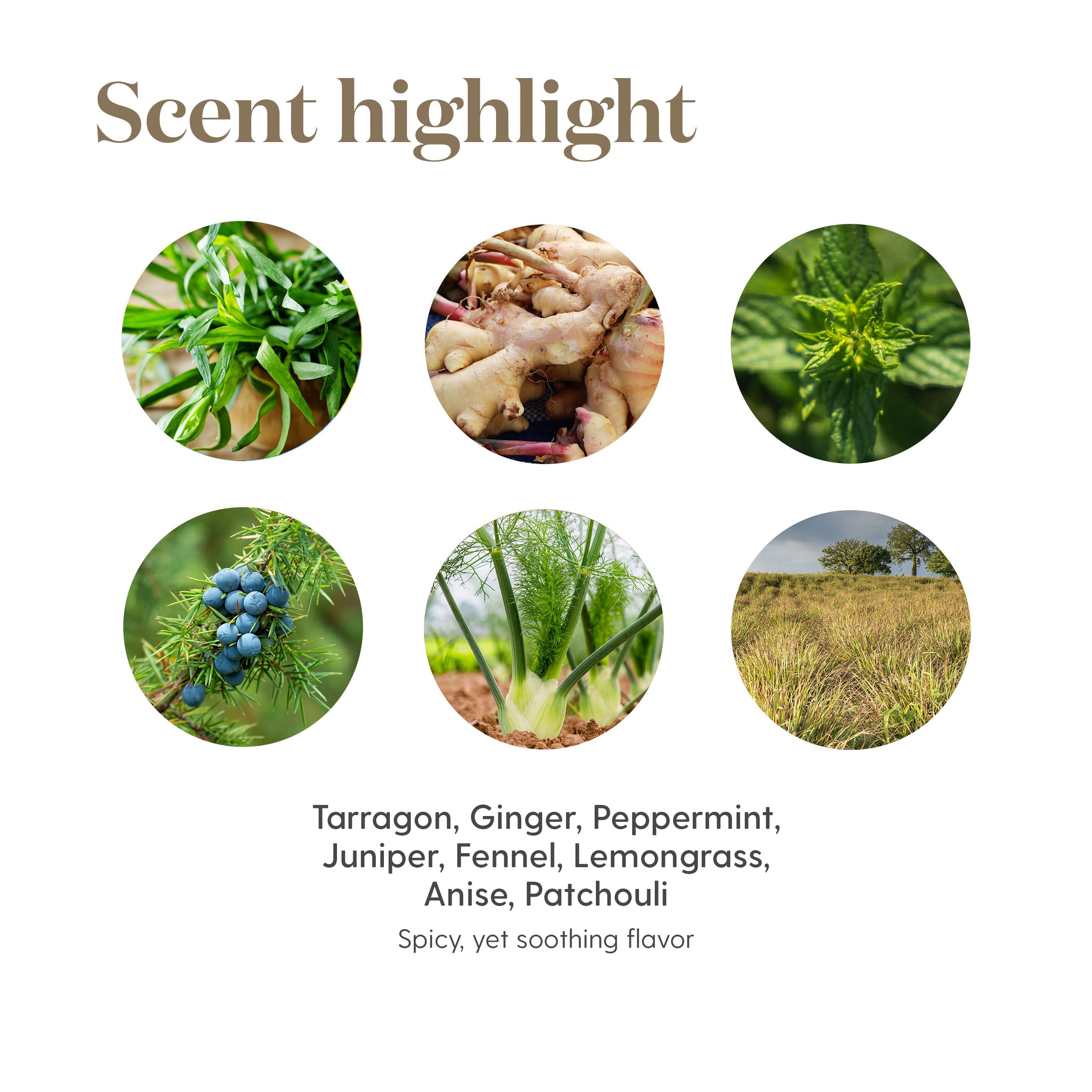 Routine aromathérapeutique DiGize Vitalité Young Living, facile à transporter.