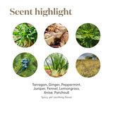 Routine aromathérapeutique DiGize Vitalité Young Living, facile à transporter.