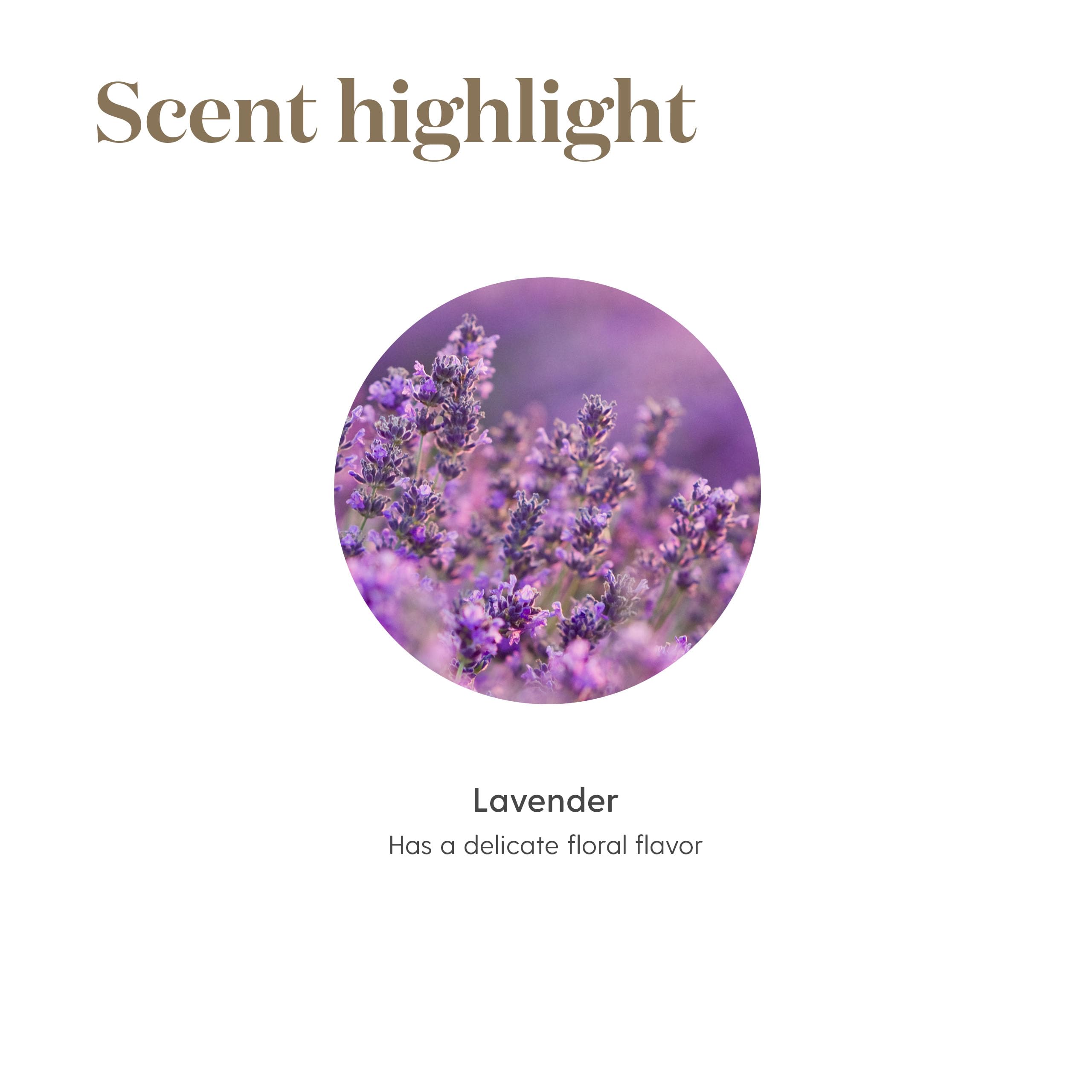 Young Living Vitality Lavande – thé infusions aromatiques et florales.