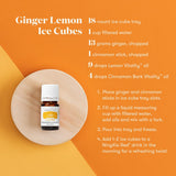 Vitality Lemon eau-infusée pour boisson aromatique et rafraîchissante.